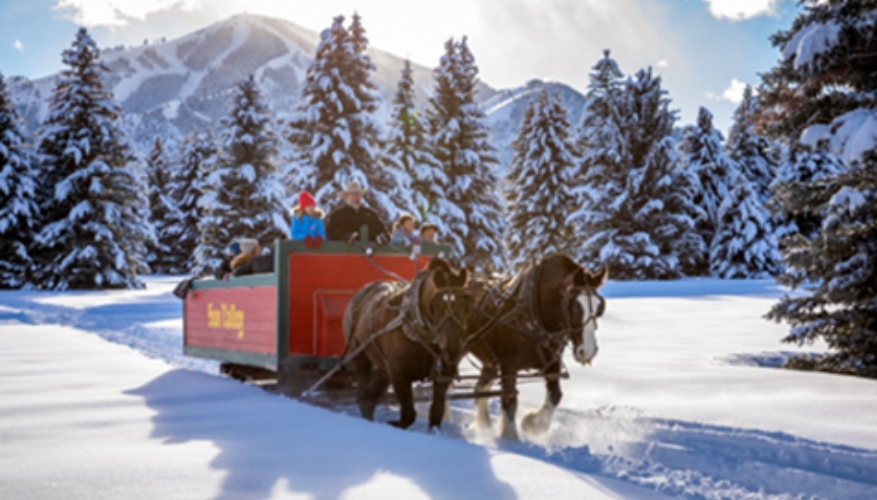 Horse Sleigh